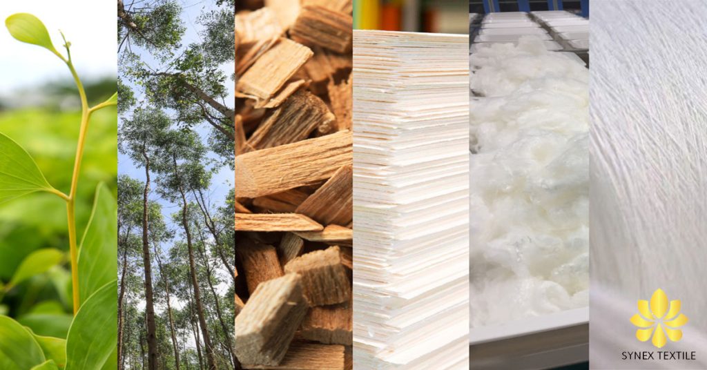 soi cellulose loai soi duoc nhan tao tu cay