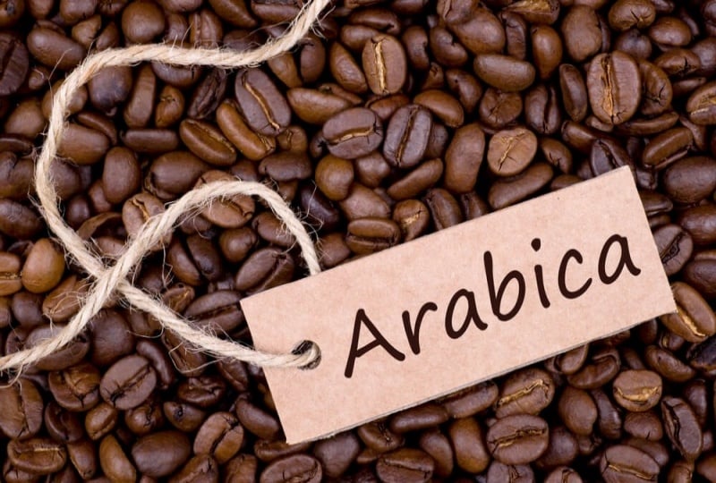 Hat ca phe Arabica sau khi duoc rang len